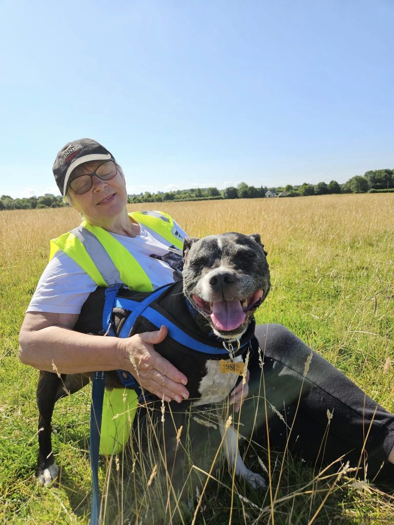 Staffy and person sitting in a field