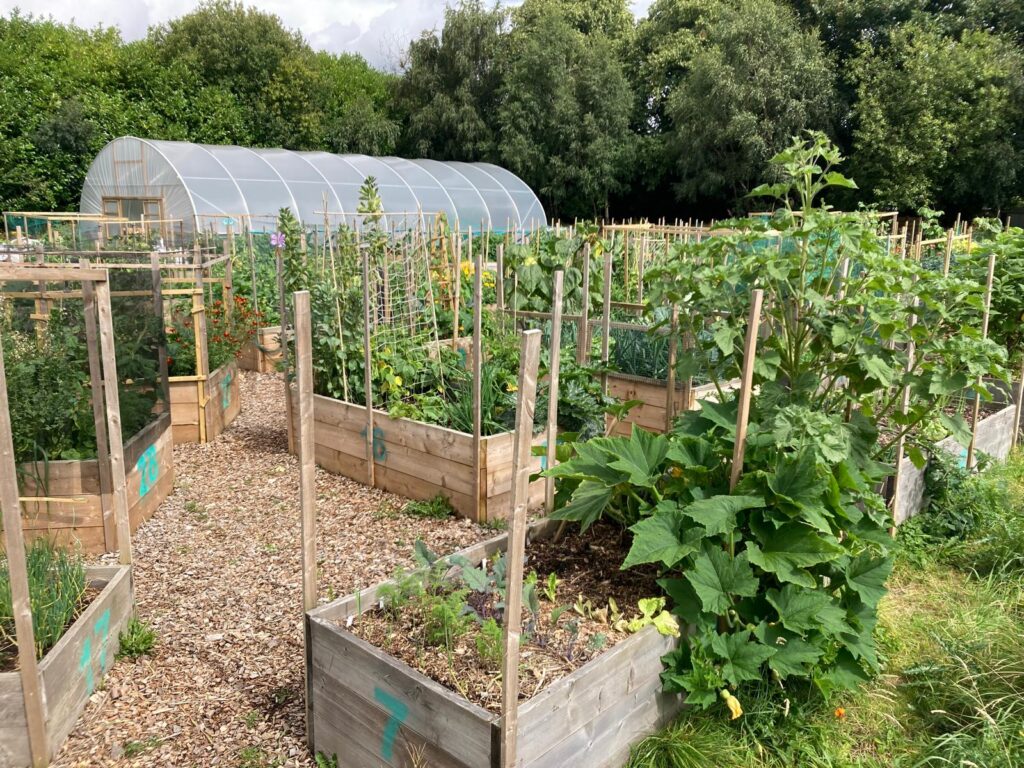 garden of plants