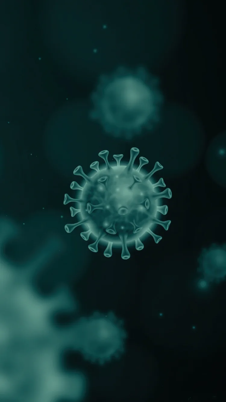 germ cells